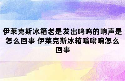 伊莱克斯冰箱老是发出呜呜的响声是怎么回事 伊莱克斯冰箱嗡嗡响怎么回事